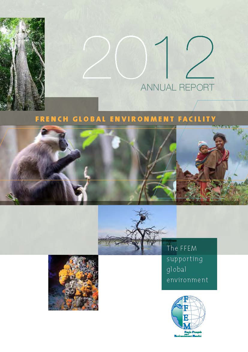 Annual Report 2012