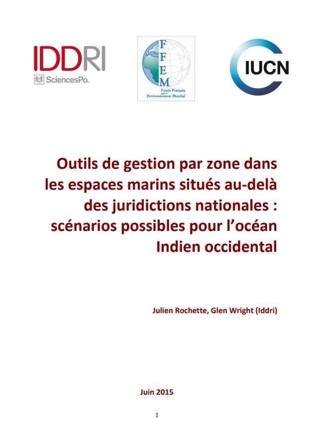 Rapport de l'IDDRI sur les outils de gestion par zone dans les espaces marins situés au-delà des juridictions nationales