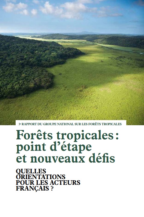 Couv 3ème Rapport GNFT (Synthèse)-Forêts Tropicales_FR