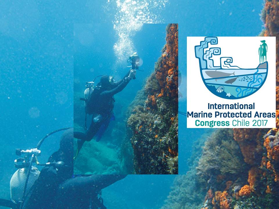 Logo IMPAC4 et plongeur sous-marin