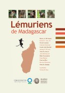 Lémuriens de Madagascar