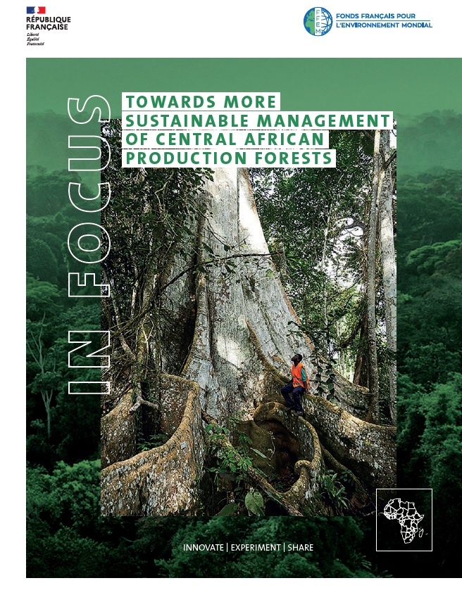 Capitalization on more sustainable management of production forests in central africa