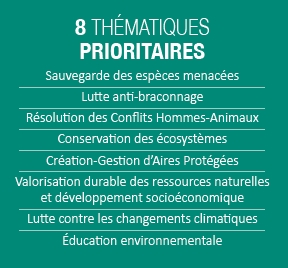 Thématique prioritaires plaquette 10 ans PPI