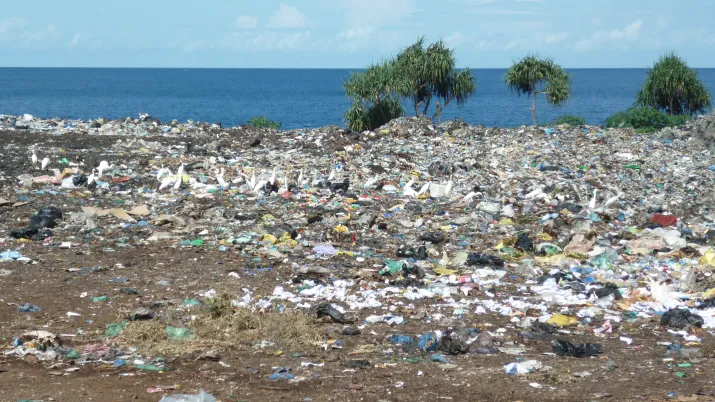 déchets