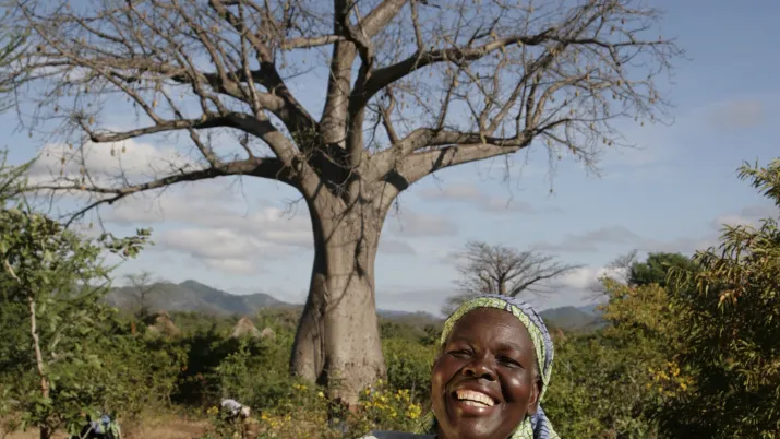 Fruits du baobab, PhytoTrade Africa