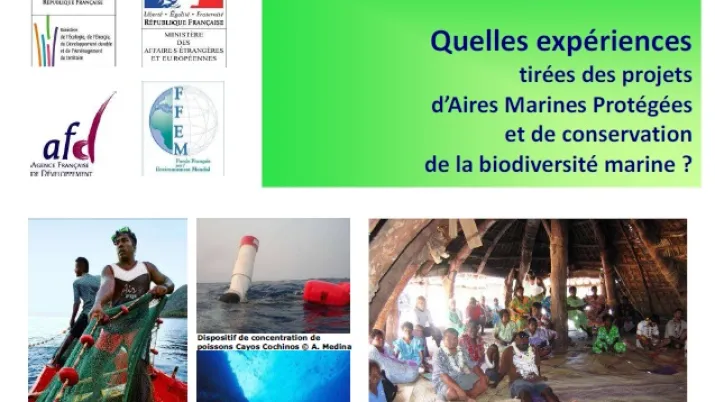 Couv Plaquette Capitalisation AMP FR