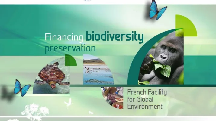 Couv plaquette FFEM Biodiv 2014_EN