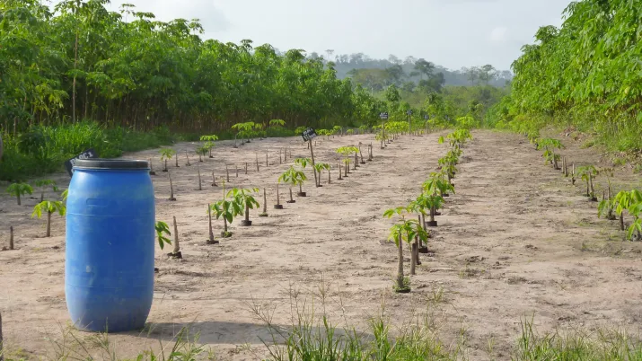 diapo - Agroécologie, une voie d’adaptation au changement climatique - Visuel