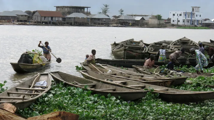 CBJ1207 Porto Novo-berges-lagune © Luc Raimbault