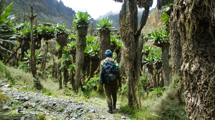 Rwenzori Mountains