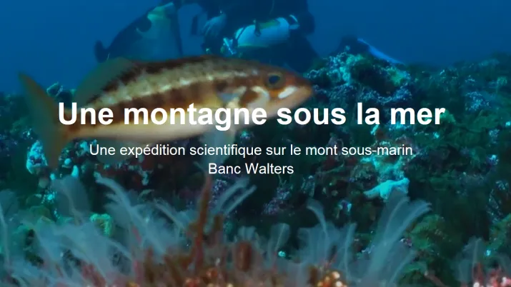 visuel site Digital IUCN