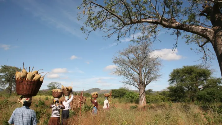 © PhytoTrade Africa
