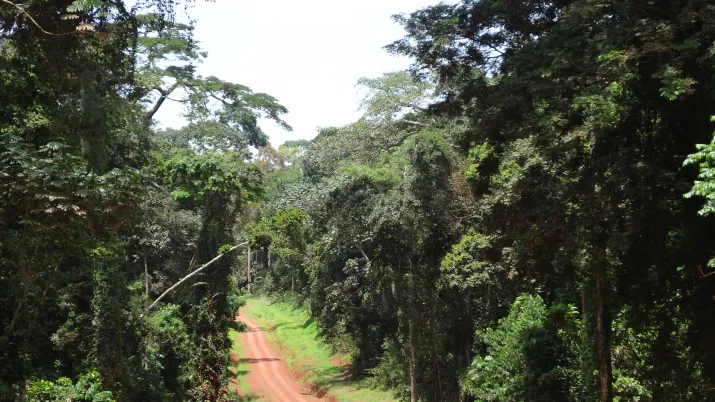 Cameroun 2015_Crédit Didier Simon (81)