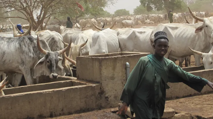 diapo - Lutte contre la désertification par l’appui au pastoralisme dans le Ferlo - Visuel