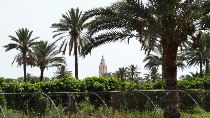Tunisie