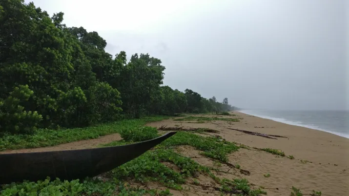Forêt littorale de Pointe à Larrée