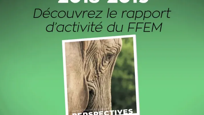 Teaser du rapport d'activité FFEM 2018-2019