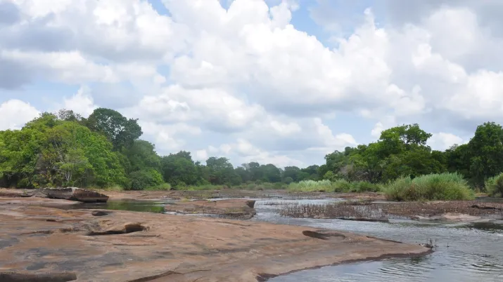 Mozambique-Gile_Guillaume-Chiron-AFD