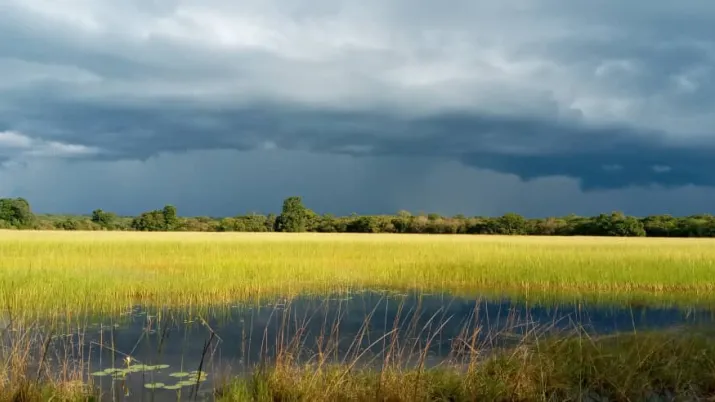 Une gestion et des financements innovants pour la biodiversité du Grand Bangweulu