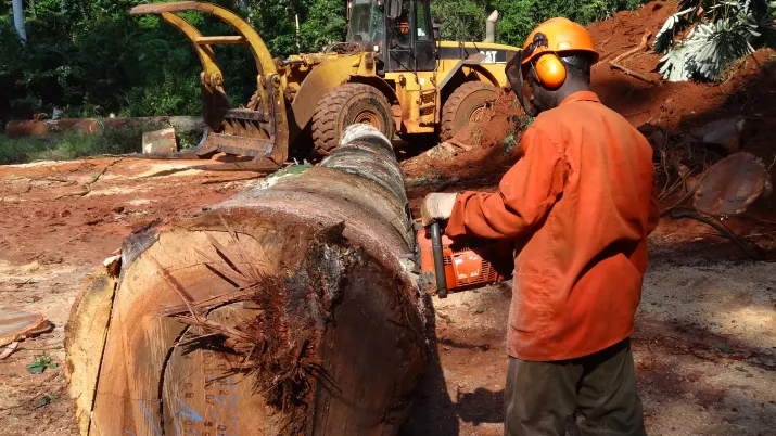 2013_Cameroun05_Bois_cogeneration_D_Simon_FFEM_(124)