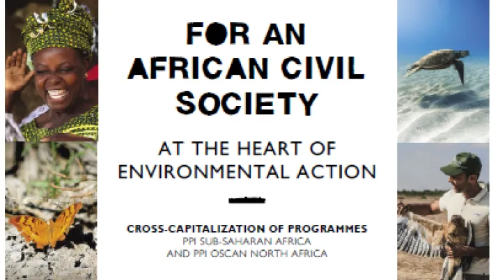 CROSS-CAPITALIZATION OF PROGRAMMES PPI SUB-SAHARAN AFRICA AND PPI OSCAN NORTH AFRICA
