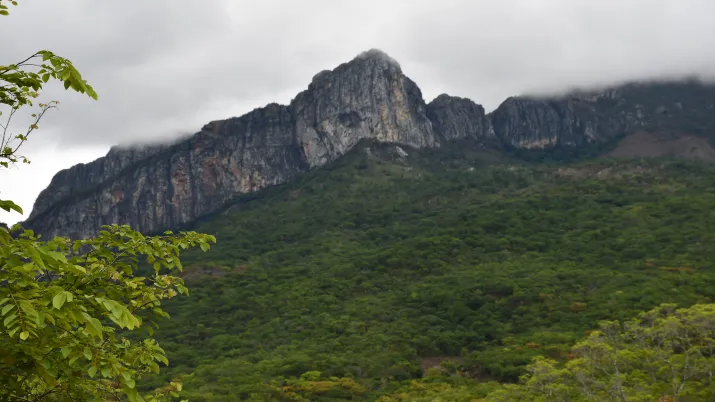 Mozambique_CMZ1157_Chimanimani