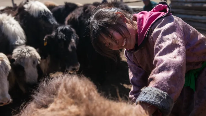 Mongolie Cachemire2