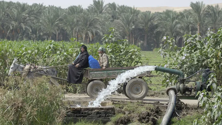 Egypte agriculture