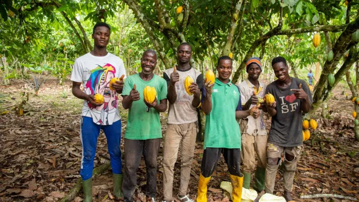 Cacao projet Equité