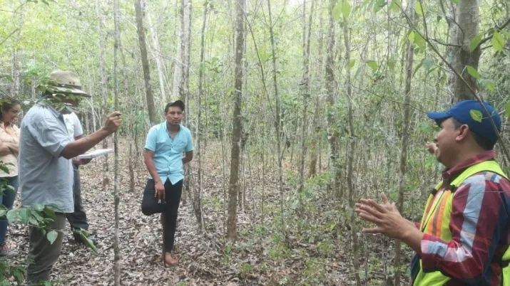 Zone forestière_Guatemala 