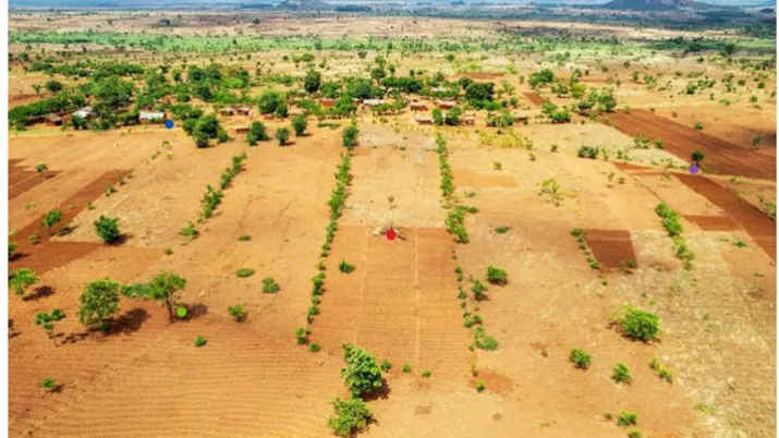 Evolution du réseau bocager dans un village d’intervention au Malawi 
