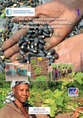 Etude ADECIA sur les politiques publiques en faveur de biocarburants à base de Jatropha