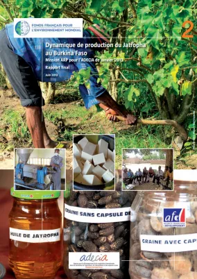 Etude ADECIA sur les dynamiques de production du Jatropha au Burkina Faso