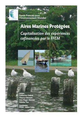 Couv AMP_Resume_executif
