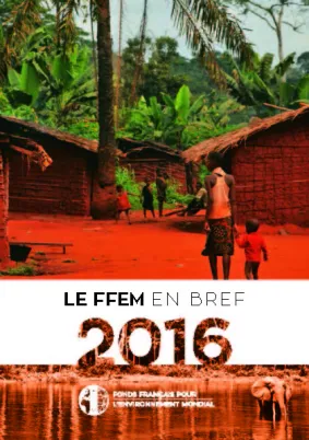 Le FFEM en Bref 2016