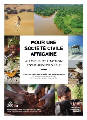Couv plaquette Capitalisation PPIs