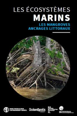 Nouveau guide sur les mangroves