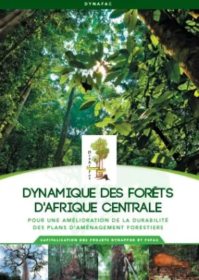 Capitalisation des projets Dynaffor et P3FAC