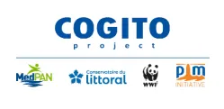 Visuel résumé évaluation COGITO