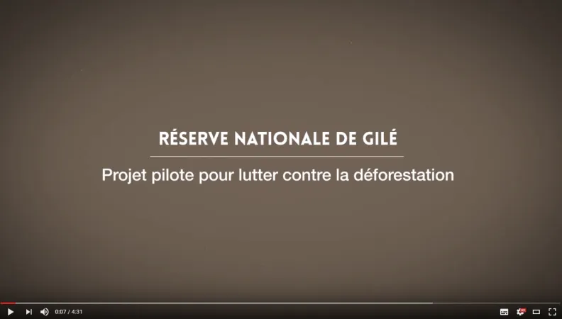mozambique-visuel-docu-réserve-gilé