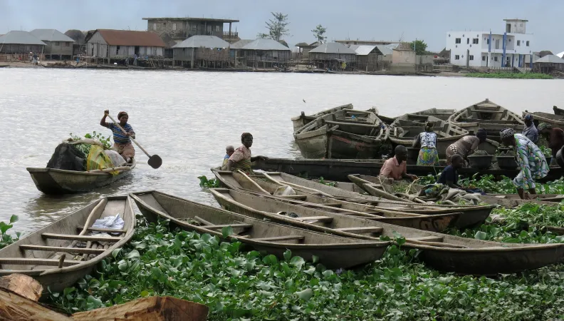 CBJ1207 Porto Novo-berges-lagune © Luc Raimbault