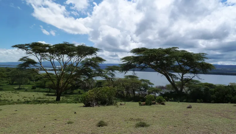 CZZ 2155-Crescent Island_kenya_13avril14_Crédit Lisa Verpeaux