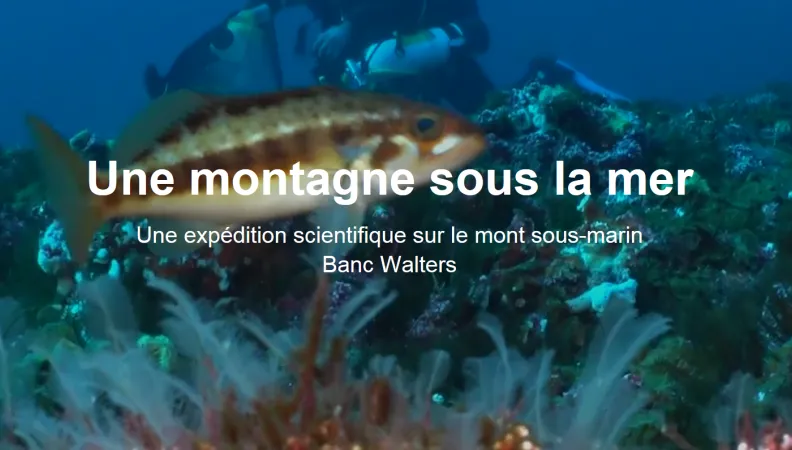 visuel site Digital IUCN