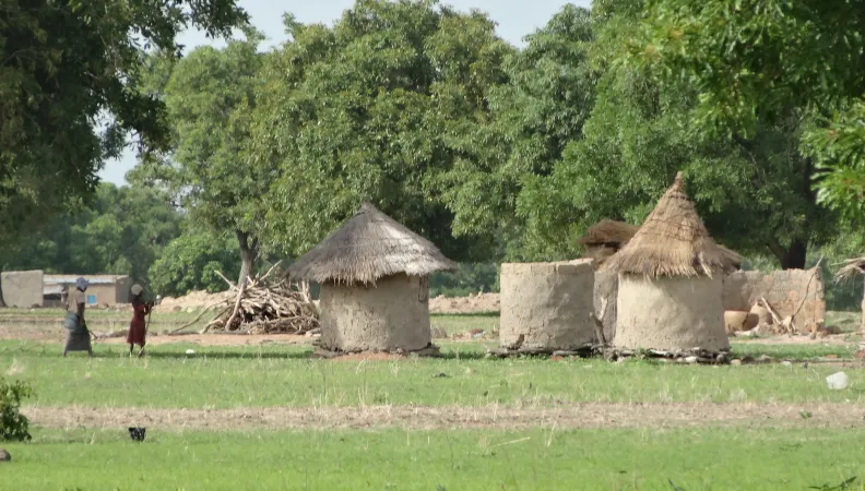 2014-Burkina ACFAO © Didier Simon, FFEM (53)