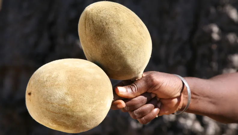 3613 © PhytoTrade Africa