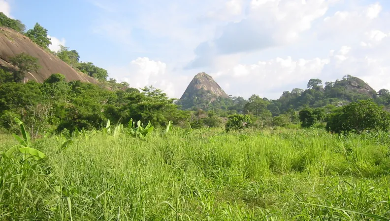 BENIN agriculture- projet CBJ 1125-GALANDRIN Jean-Claude AFD (2)