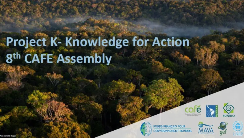 Visuel Project K- Knowledge for Action