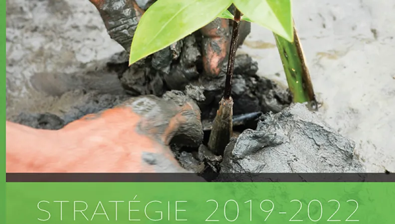 Stratégie 2019-2022