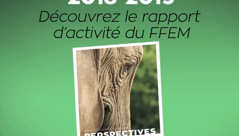Teaser du rapport d'activité FFEM 2018-2019