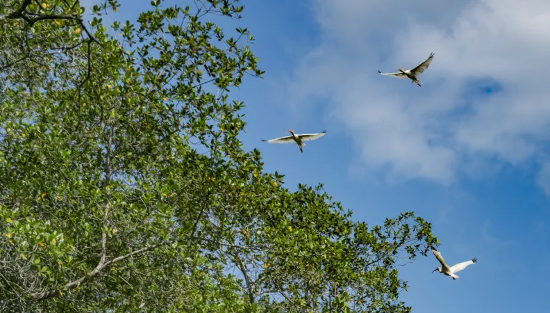 Costa Rica